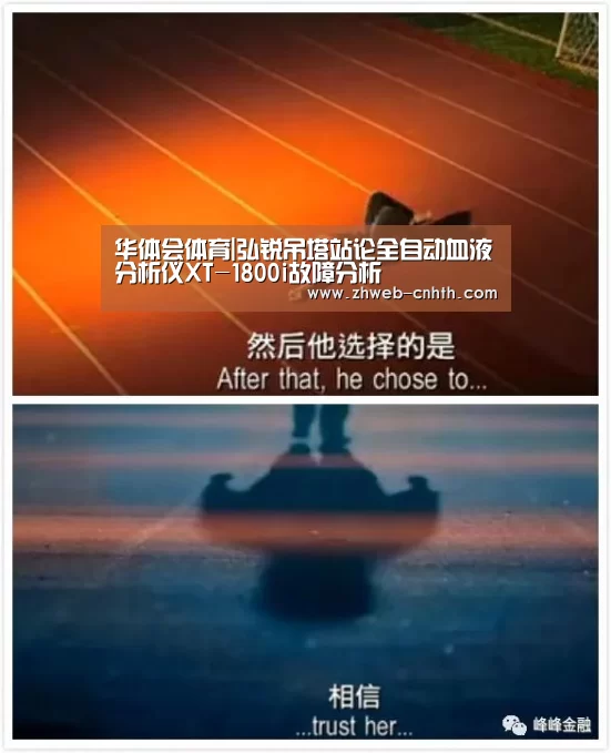 华体会体育