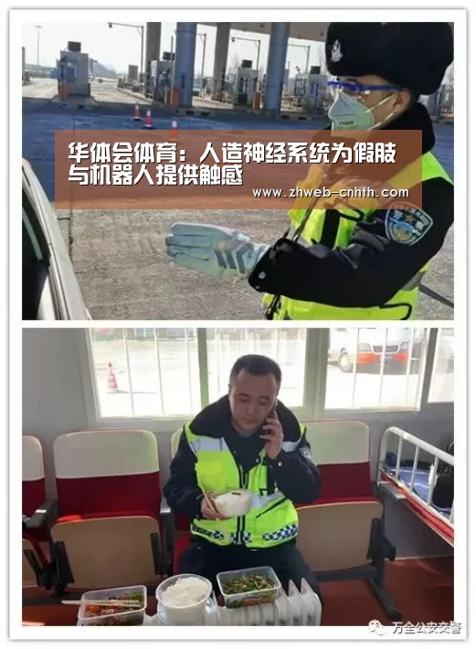 华体会体育:人造神经系统为假肢与机器人提供触感(图3) 华体会体育