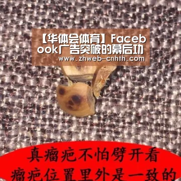 【华体会体育】Facebook广告突破的幕后功臣(图4) 华体会体育