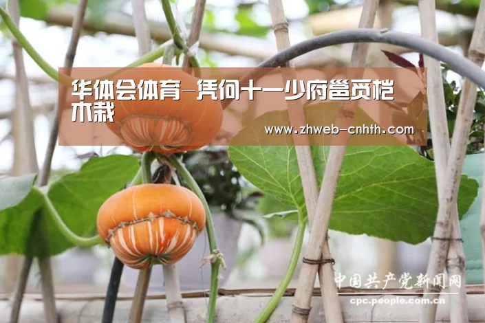 华体会体育