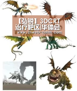 【弘锐】3DCRT治疗靶区|华体会体育(图3) 华体会体育