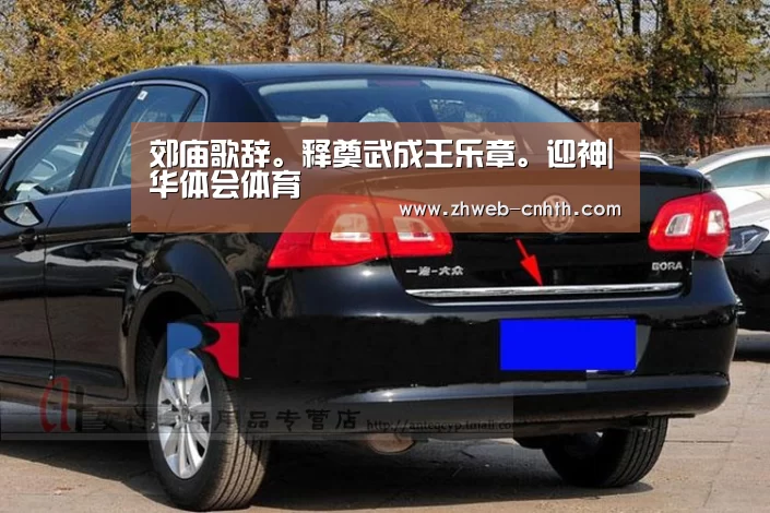 华体会体育