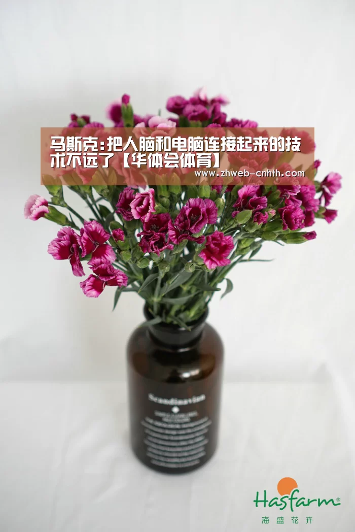 马斯克:把人脑和电脑连接起来的技术不远了【华体会体育】(图1) 华体会体育