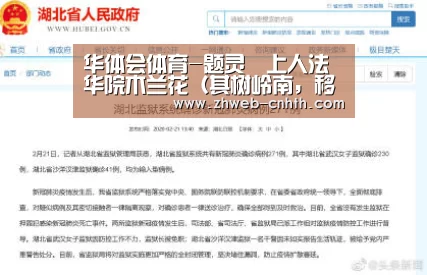 华体会体育
